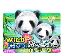Wild Giant Panda - JPMAXWIN188