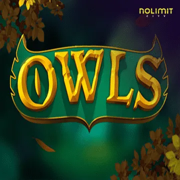 Owls - JPMAXWIN188
