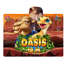 Oasis - JPMAXWIN188
