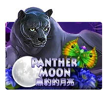 Panther Moon - JPMAXWIN188